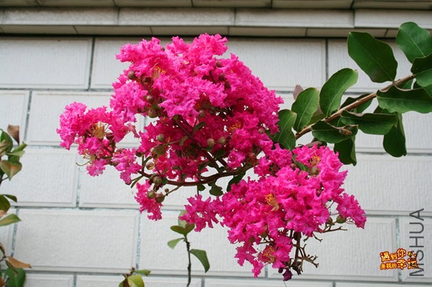 ��Ƭ 038_����.jpg