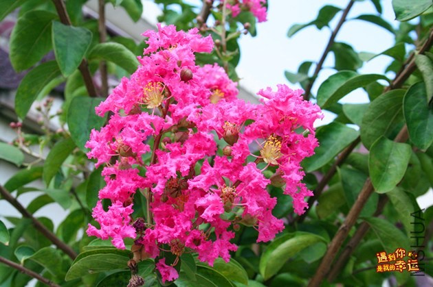 ��Ƭ 039_����.jpg