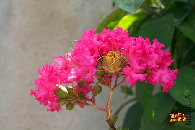 ��Ƭ 040_����.jpg