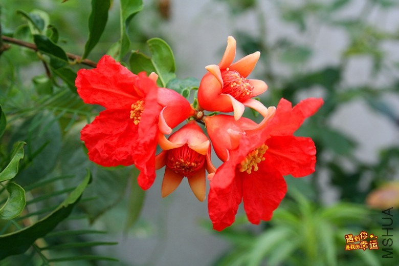 ��Ƭ 044_����.jpg