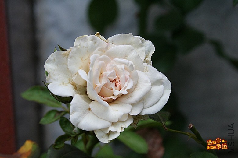 ��Ƭ 055_����.jpg