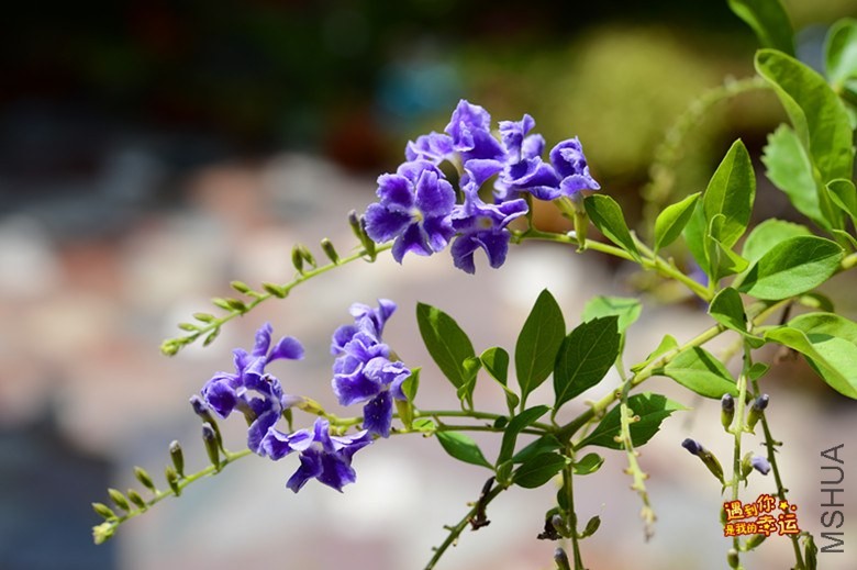 ��Ƭ 136_����.jpg