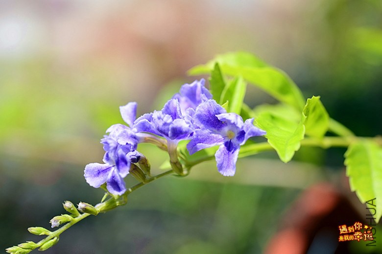 ��Ƭ 137_����.jpg