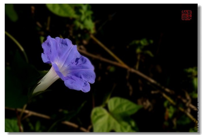 P1280965-ǣţ.jpg