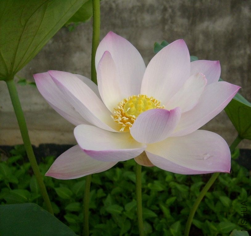 S6302451.JPG