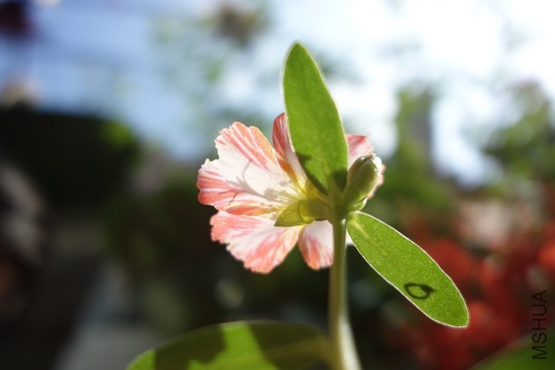 nEO_IMG_DSC01285.jpg