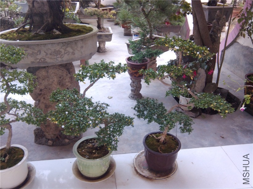 IMG_20130915_180749.jpg