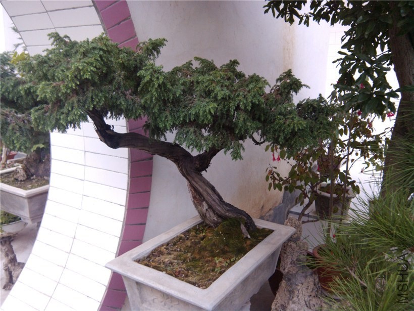 IMG_20130915_180609.jpg