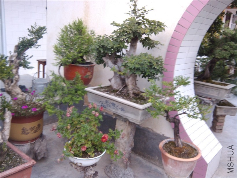 IMG_20130915_180642.jpg