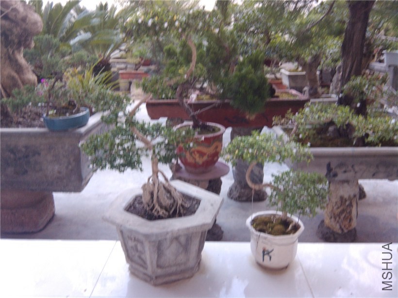 IMG_20130915_180718.jpg