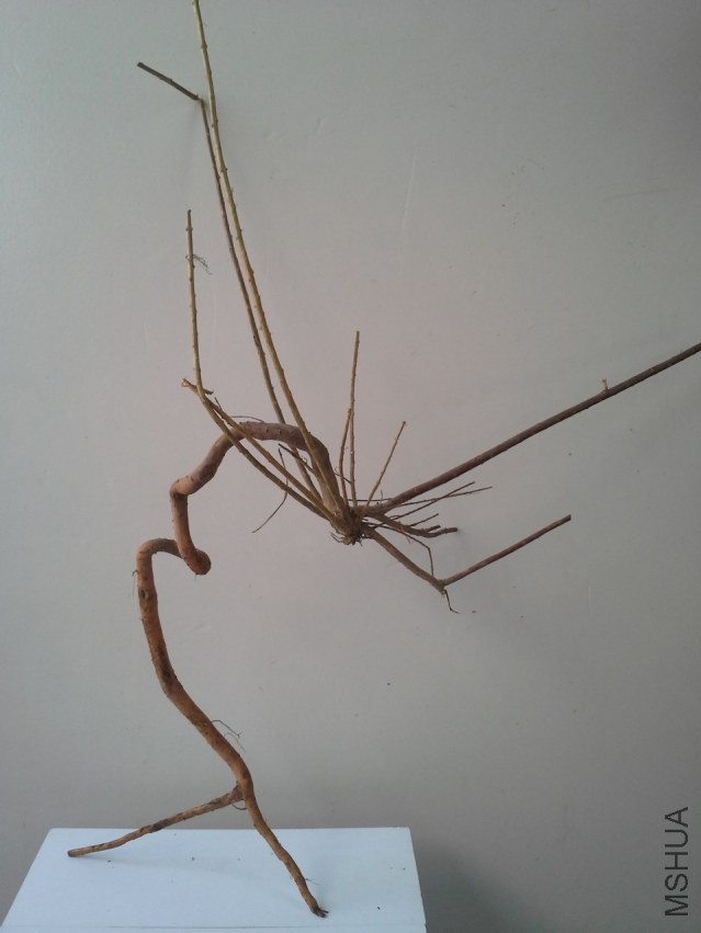 20130918_132045.jpg