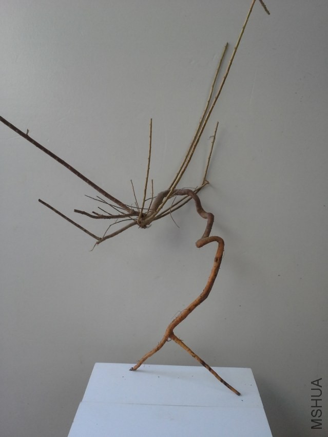 20130918_132030.jpg