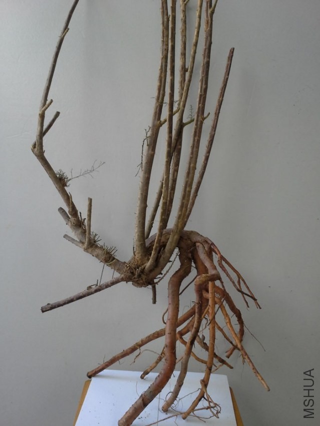 20130918_132257.jpg