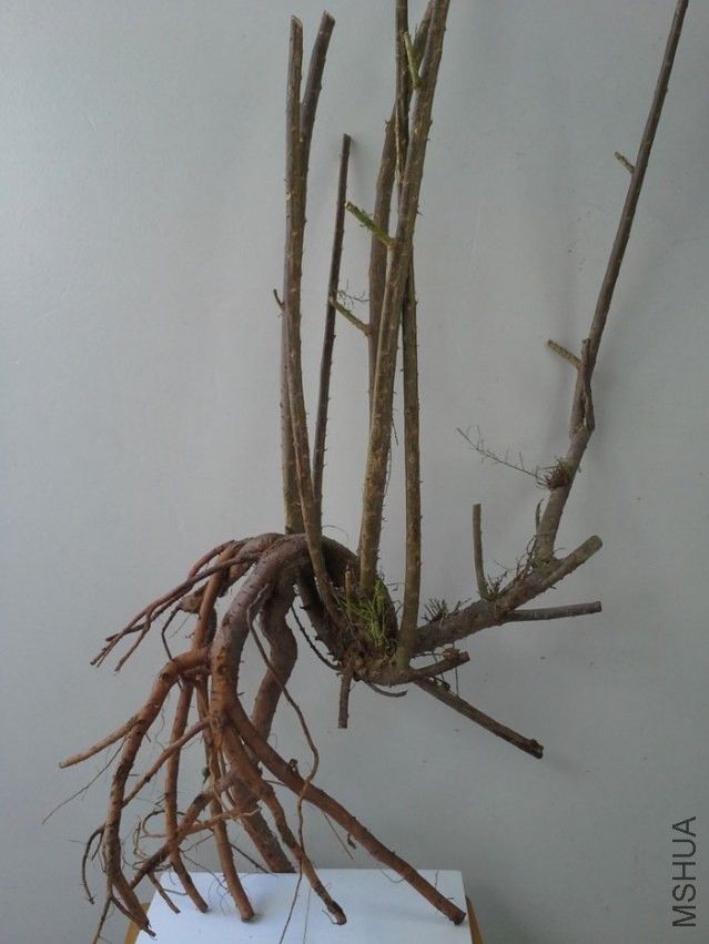 20130918_132244.jpg