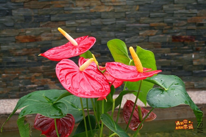 ��Ƭ 043_����.jpg