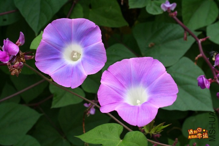 ��Ƭ 033_����.jpg