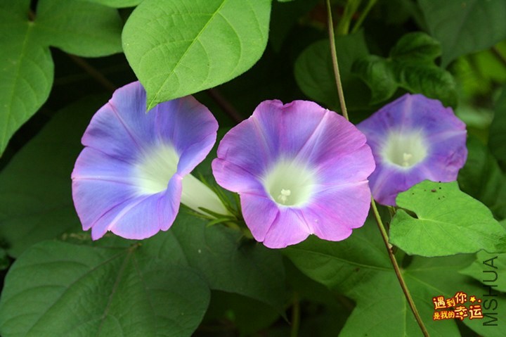 ��Ƭ 035_����.jpg