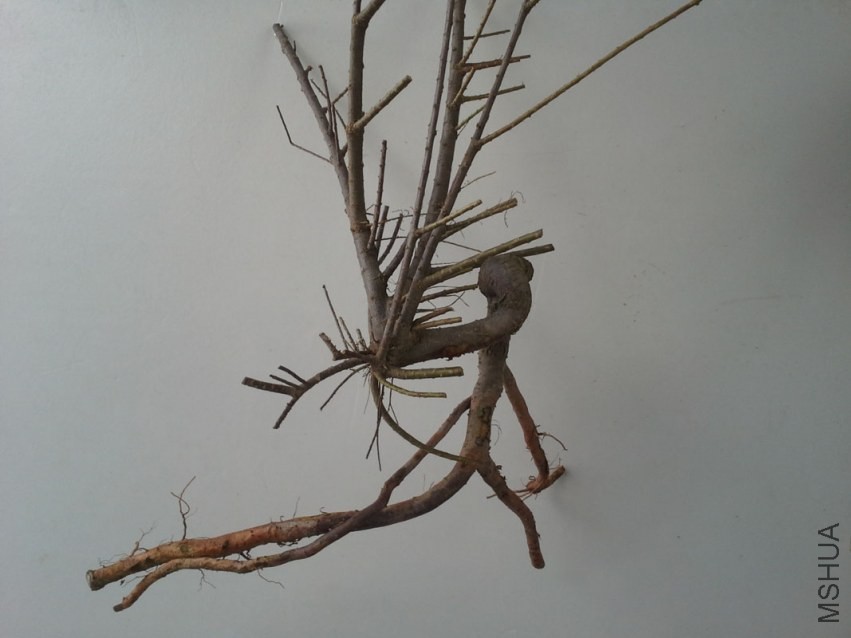 20130918_132141.jpg