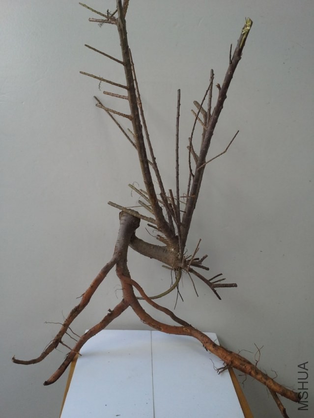 20130918_132209.jpg