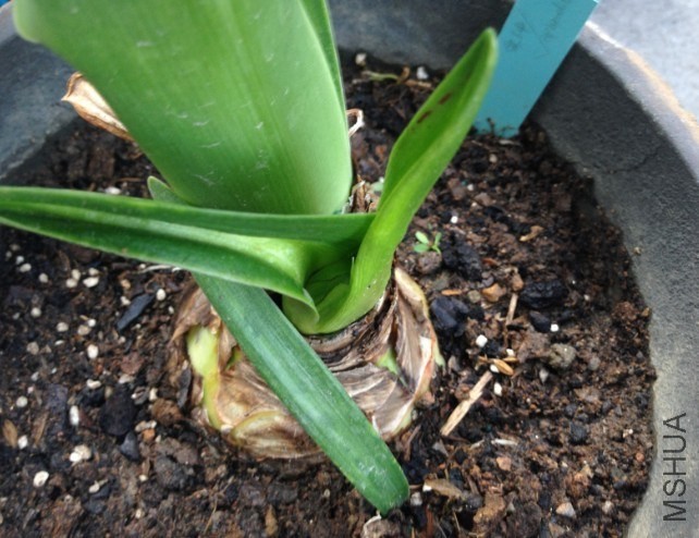 QQ��ͼ20130919221709.jpg