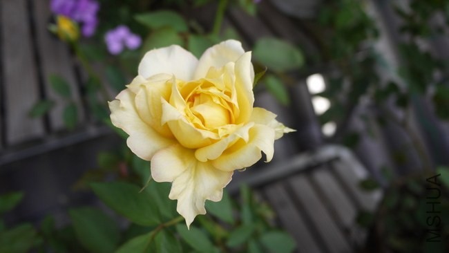 P1050096.JPG