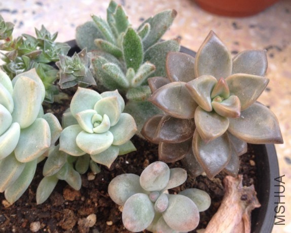 QQͼƬ20130920112739.jpg