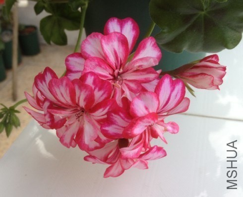 QQͼƬ20130920112753.jpg