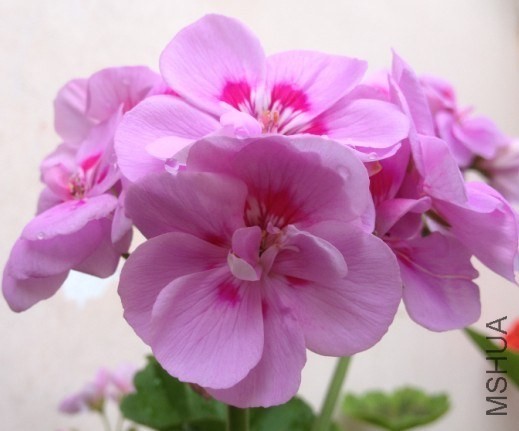 QQͼƬ20130920112800.jpg