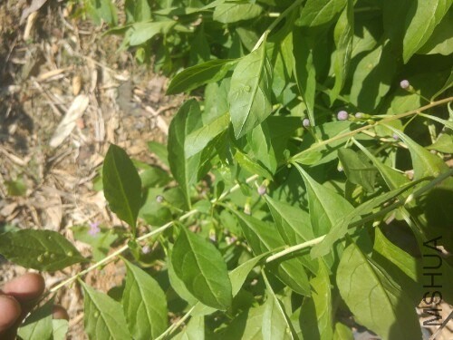 IMG20130920142426.jpg