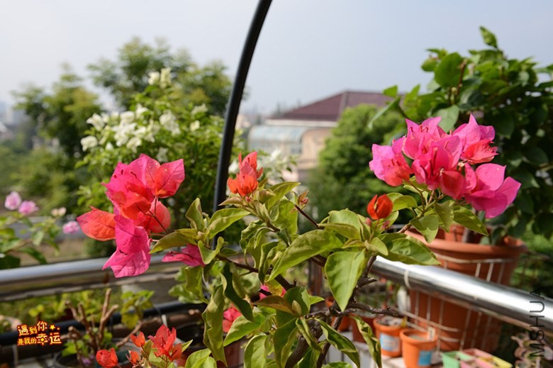 ��Ƭ 044_����.jpg