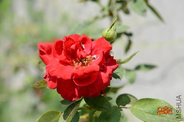 ��Ƭ 119_����.jpg