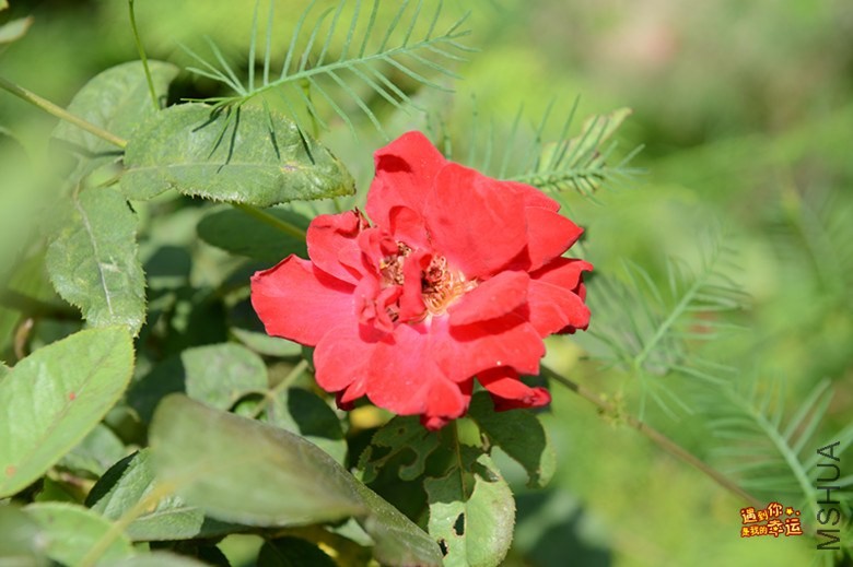 ��Ƭ 122_����.jpg