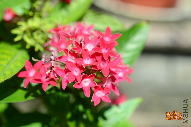 ��Ƭ 163_����.jpg