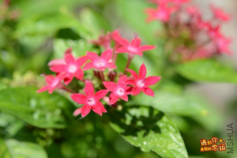 ��Ƭ 165_����.jpg