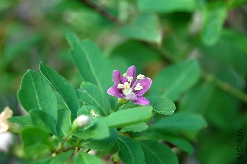 DSC_01890189.JPG