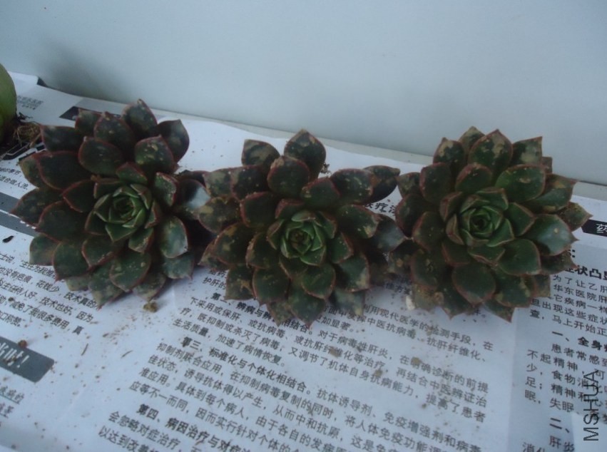 С�ͽ� ����.jpg