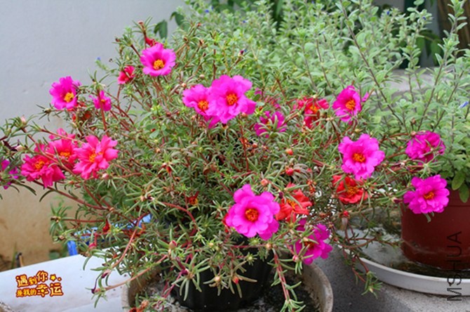 ��Ƭ 069_����.jpg