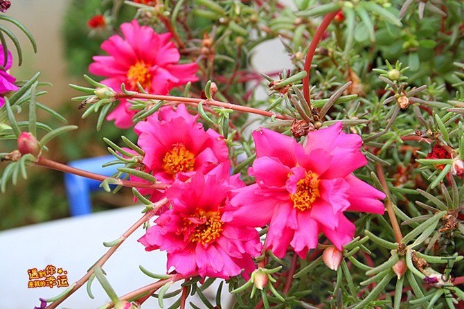 ��Ƭ 072_����.jpg