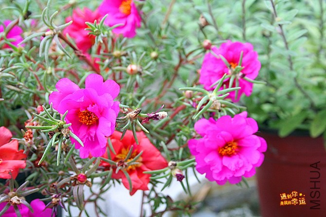 ��Ƭ 074_����.jpg