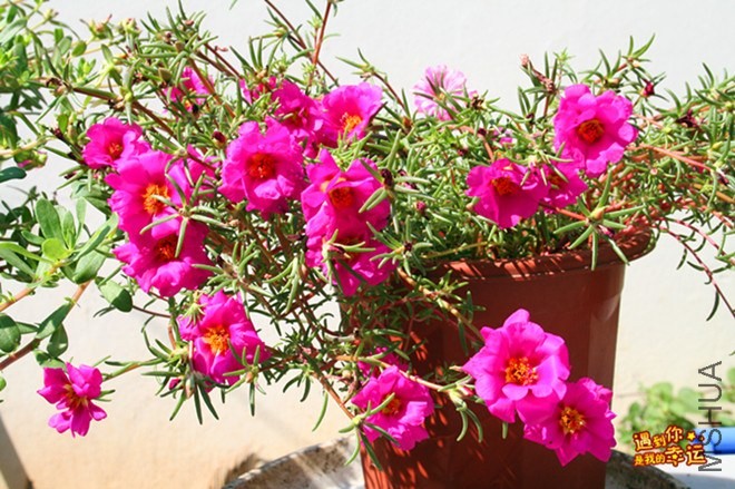 ��Ƭ 075_����.jpg