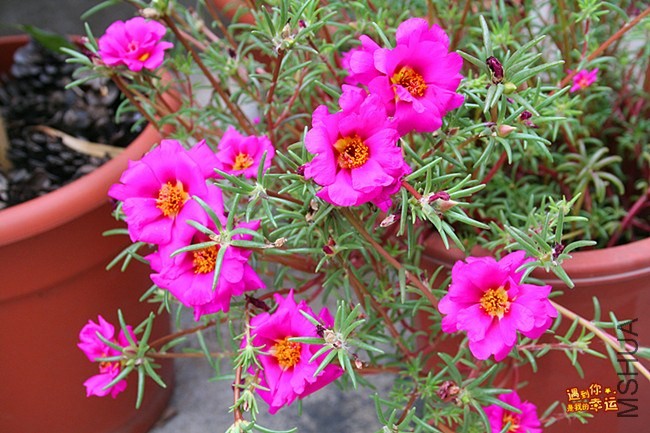 ��Ƭ 078_����.jpg