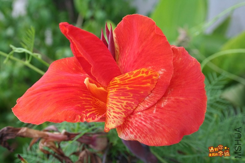 ��Ƭ 045_����.jpg