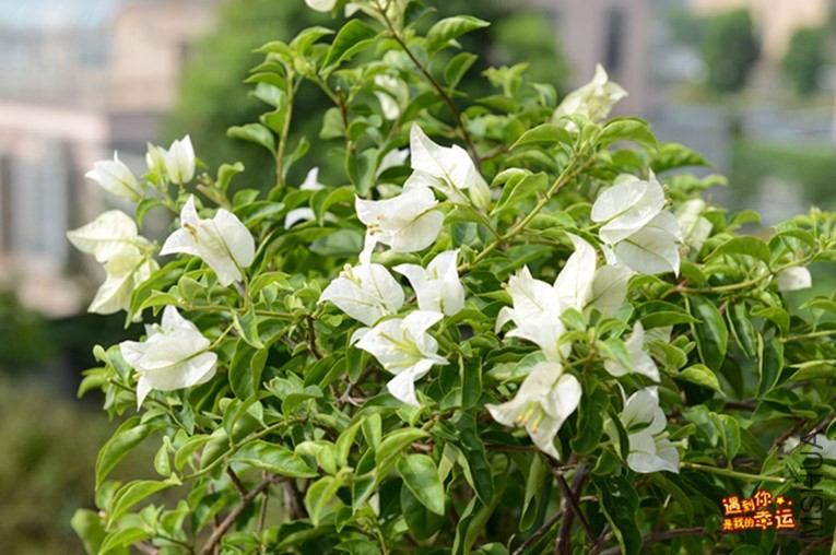 ��Ƭ 033_����.jpg