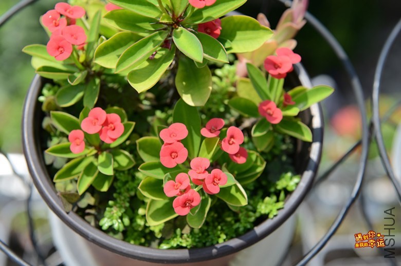 ��Ƭ 071_����.jpg