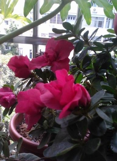 ������С 2013-09-20_12-57-41_754.jpg