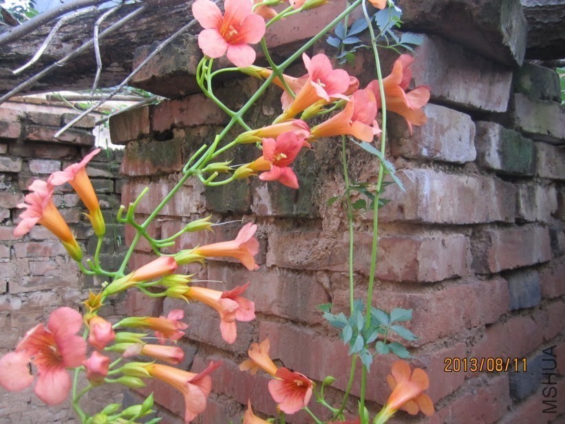 QQͼƬ20130921220029.jpg