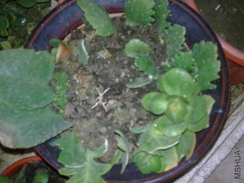 201309211182.jpg
