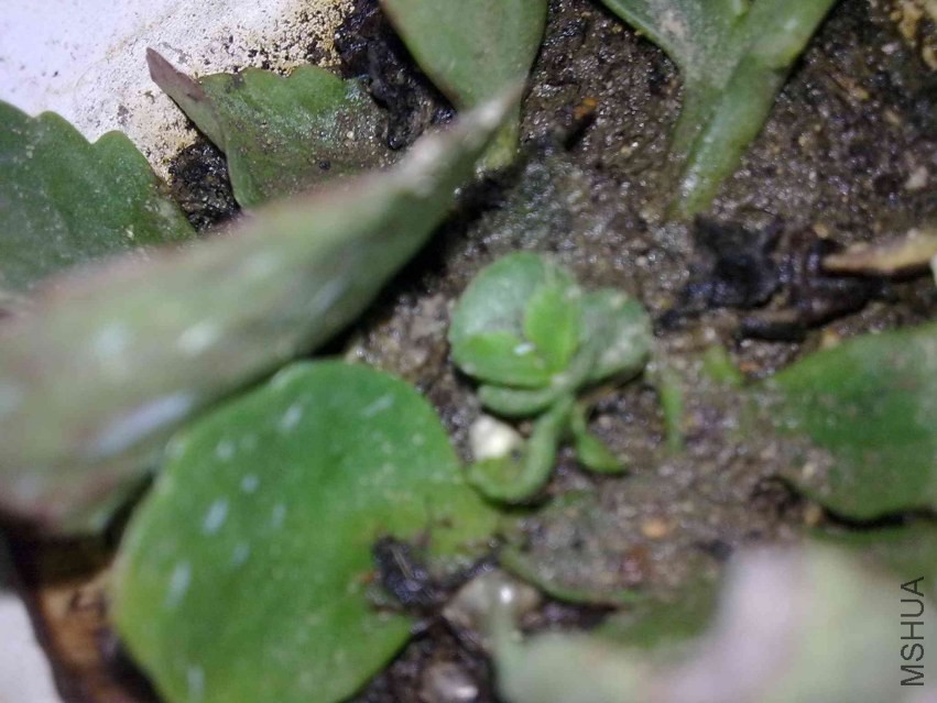 201309211187.jpg