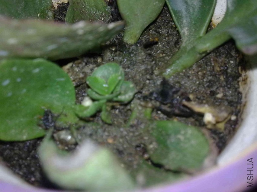 201309211190.jpg