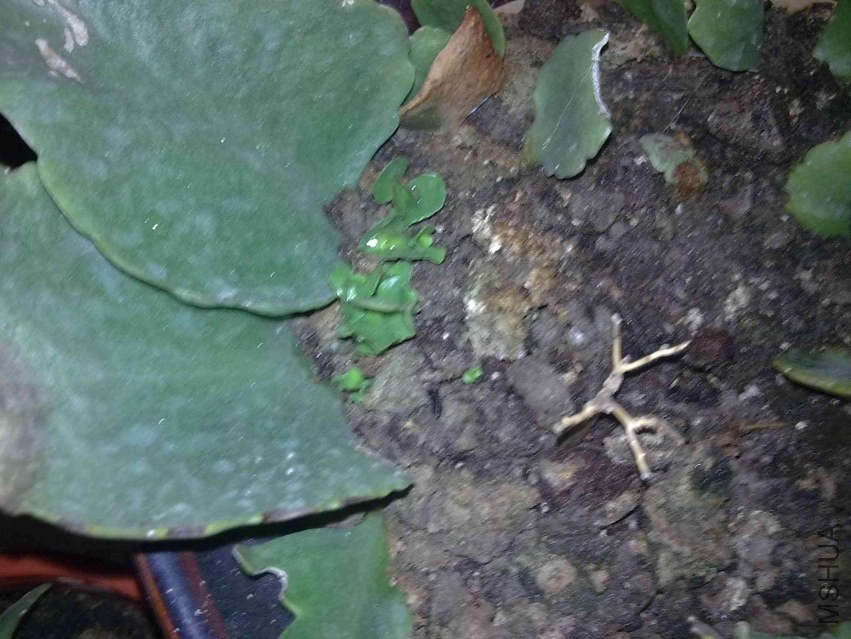 201309211178.jpg